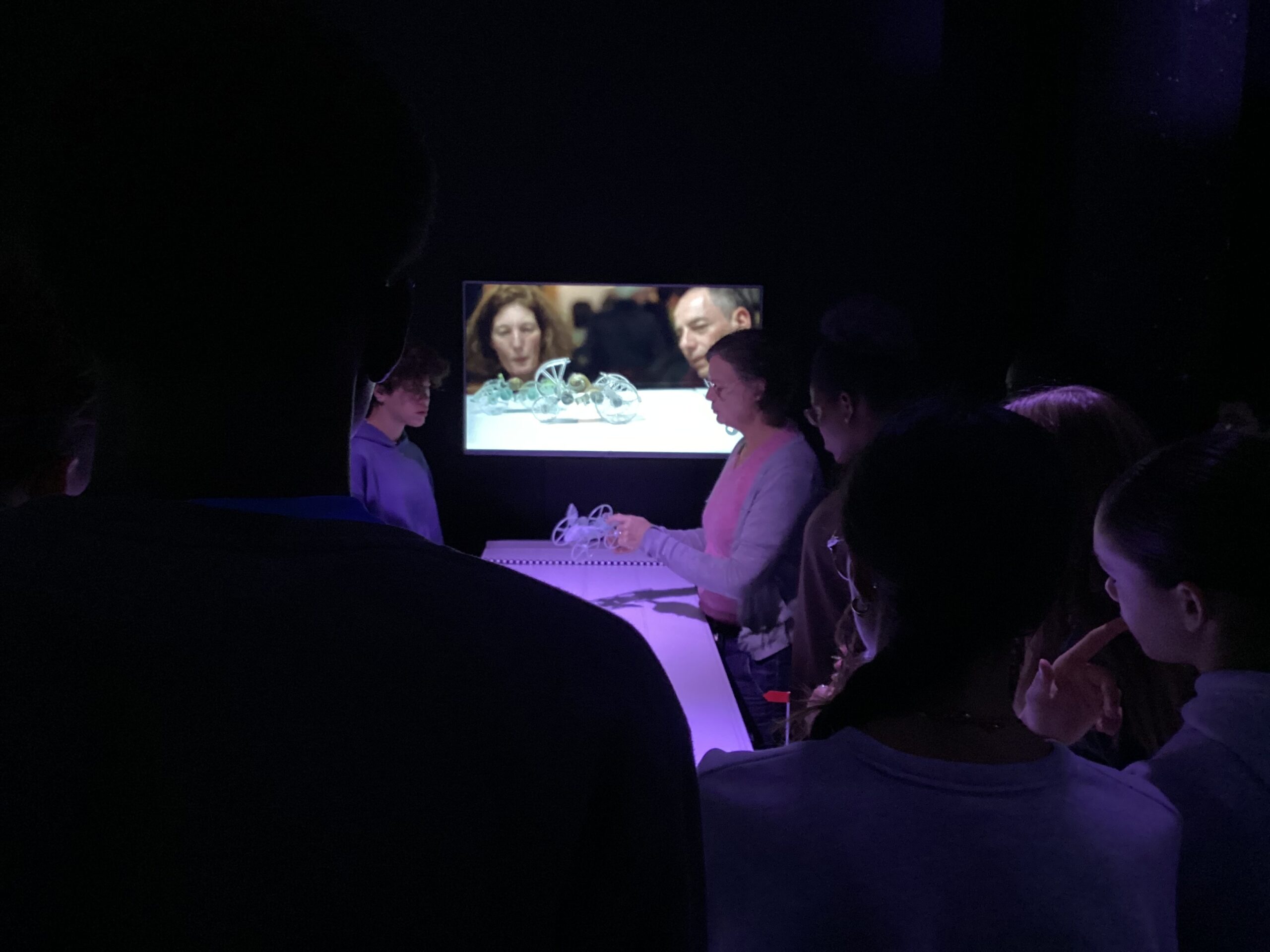 Les Escargots-mobiles